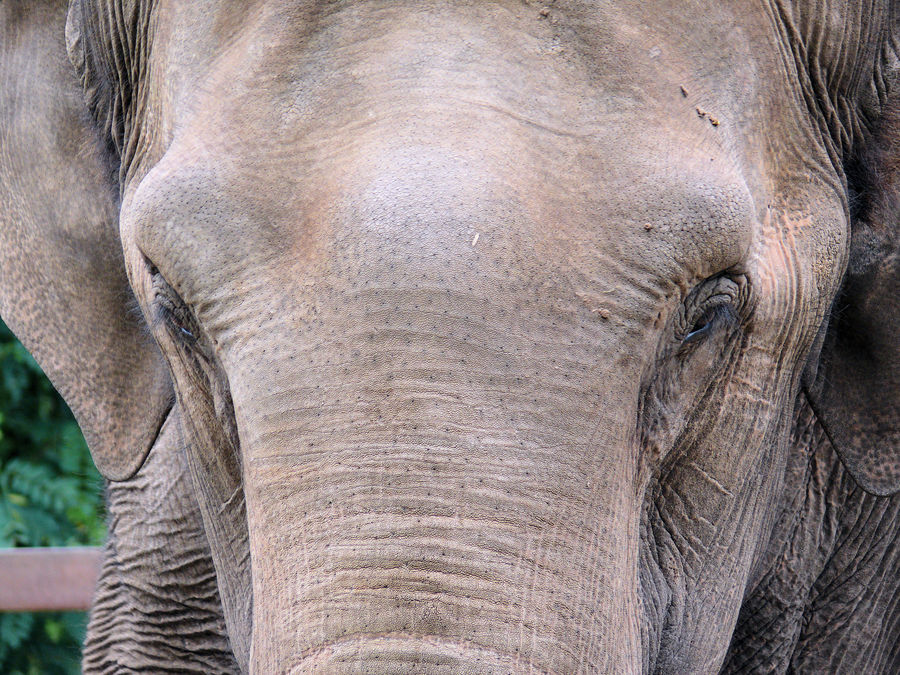 Ein Besuch im ZOO