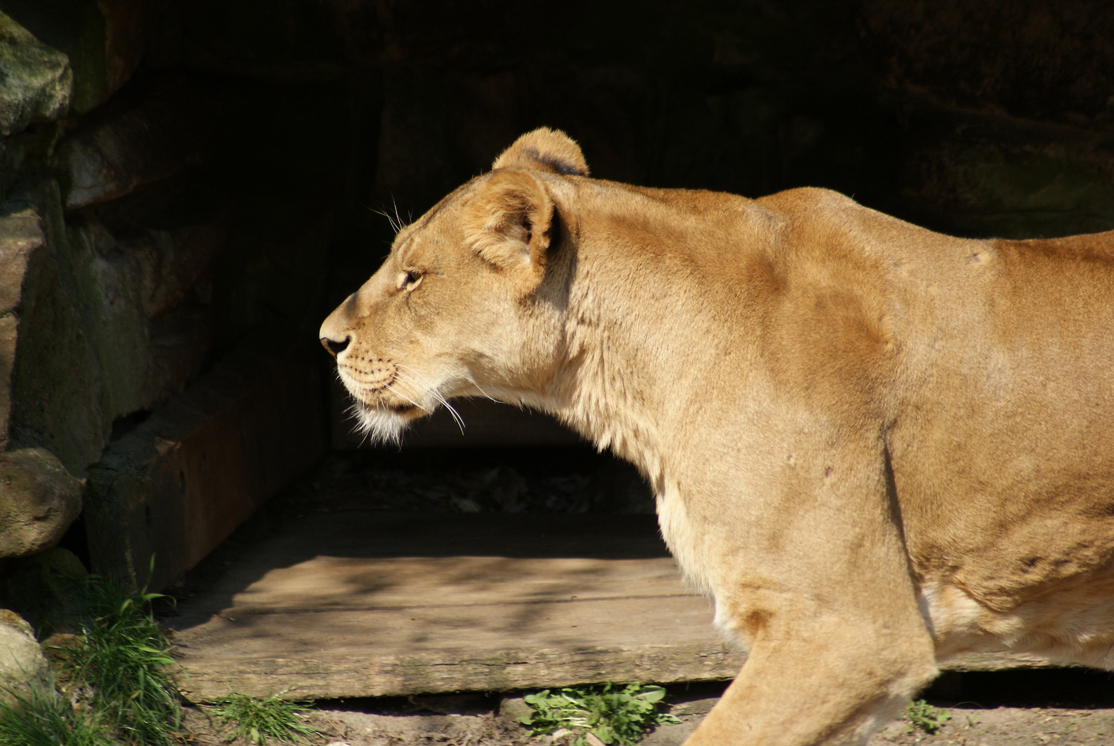 Ein Besuch im Zoo