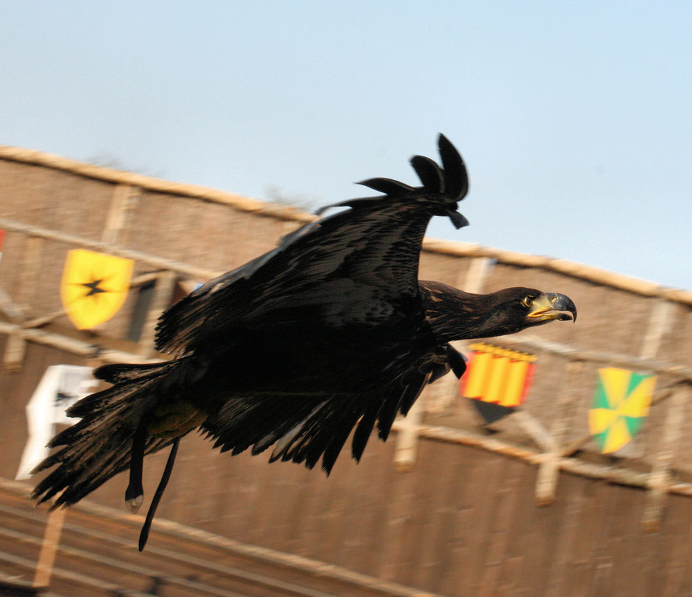 Ein Besuch im Zoo Amneville