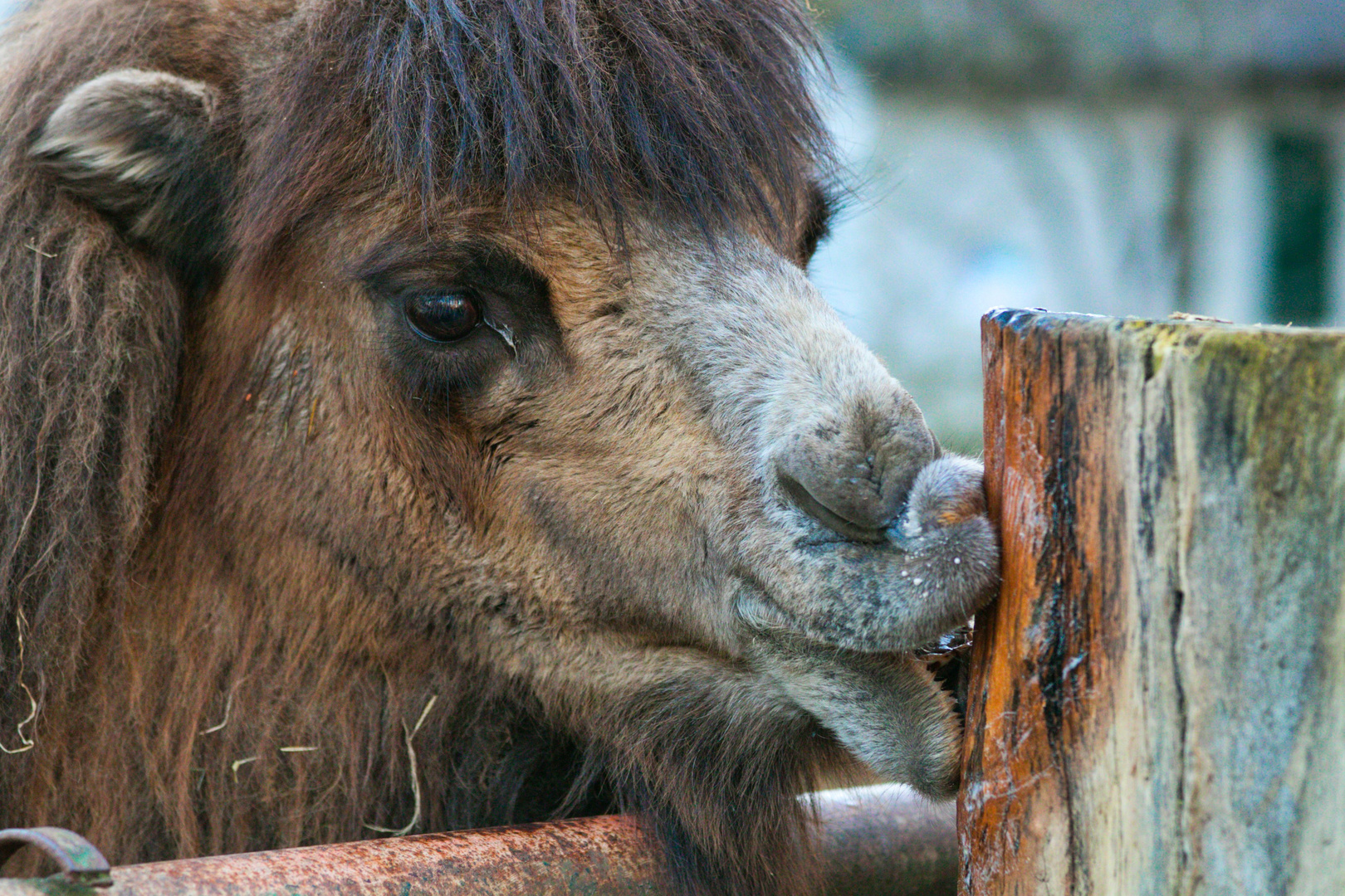 Ein Besuch im ZOO