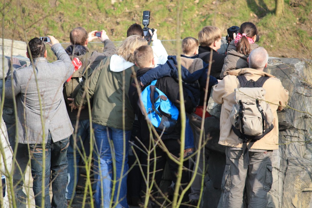 Ein besuch im Zoo