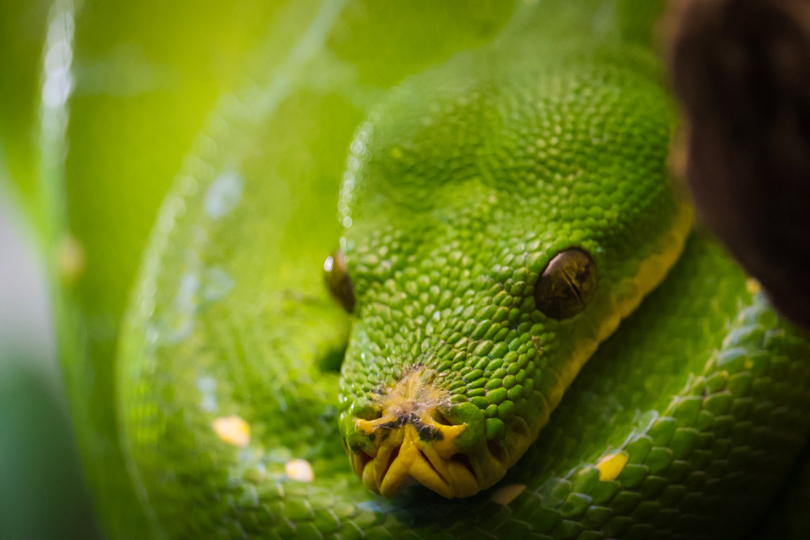 Ein Besuch im Zoo Wilhelma