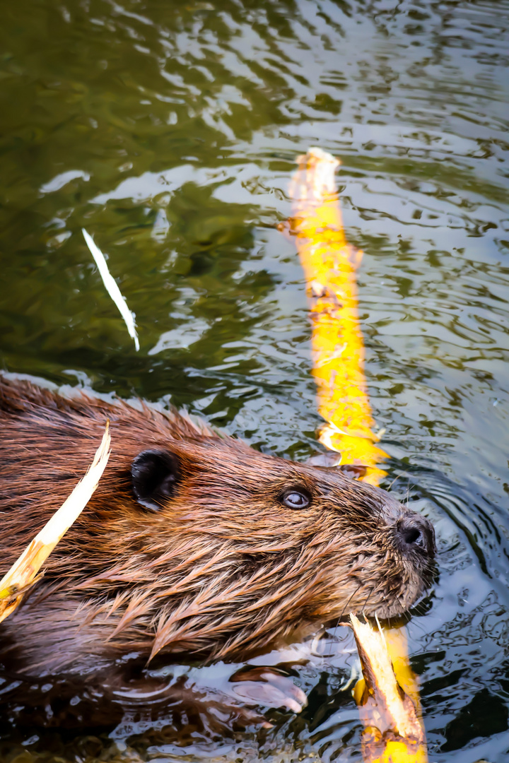 Ein Besuch im Zoo Wilhelma