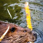 Ein Besuch im Zoo Wilhelma