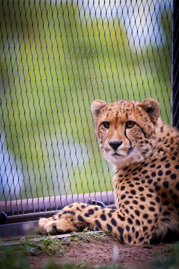 Ein Besuch im Zoo Wilhelma