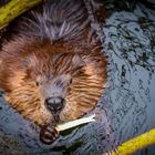 Ein Besuch im Zoo Wilhelma