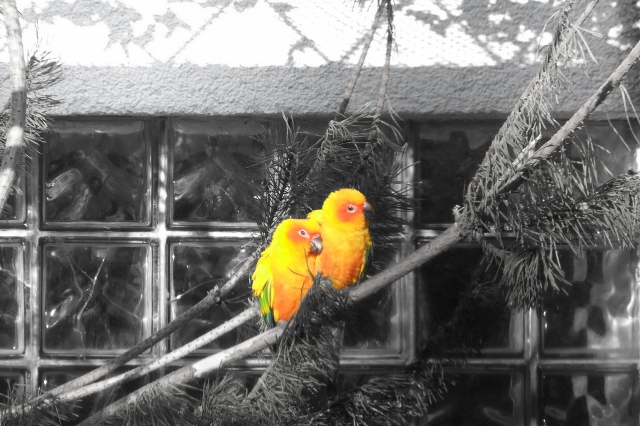 Ein Besuch in den Berliner Zoo