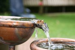 Ein Besucher in meinem Springbrunnen,er fühlt sich sichtlich wohl......