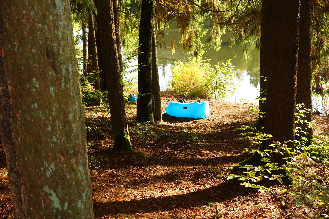 ein bett im herbstwald