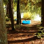 ein bett im herbstwald