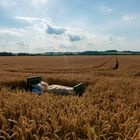 Ein Bett im Kornfeld