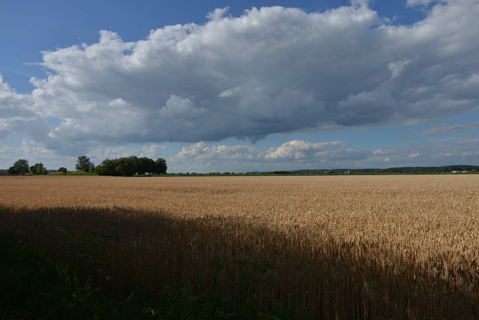 Ein Bett im Kornfeld