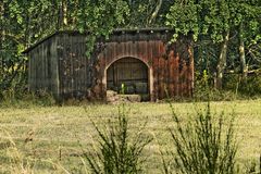 Ein Bett im Kornfeld