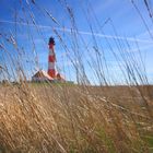 Ein Bett im Kornfeld?