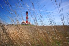 Ein Bett im Kornfeld?