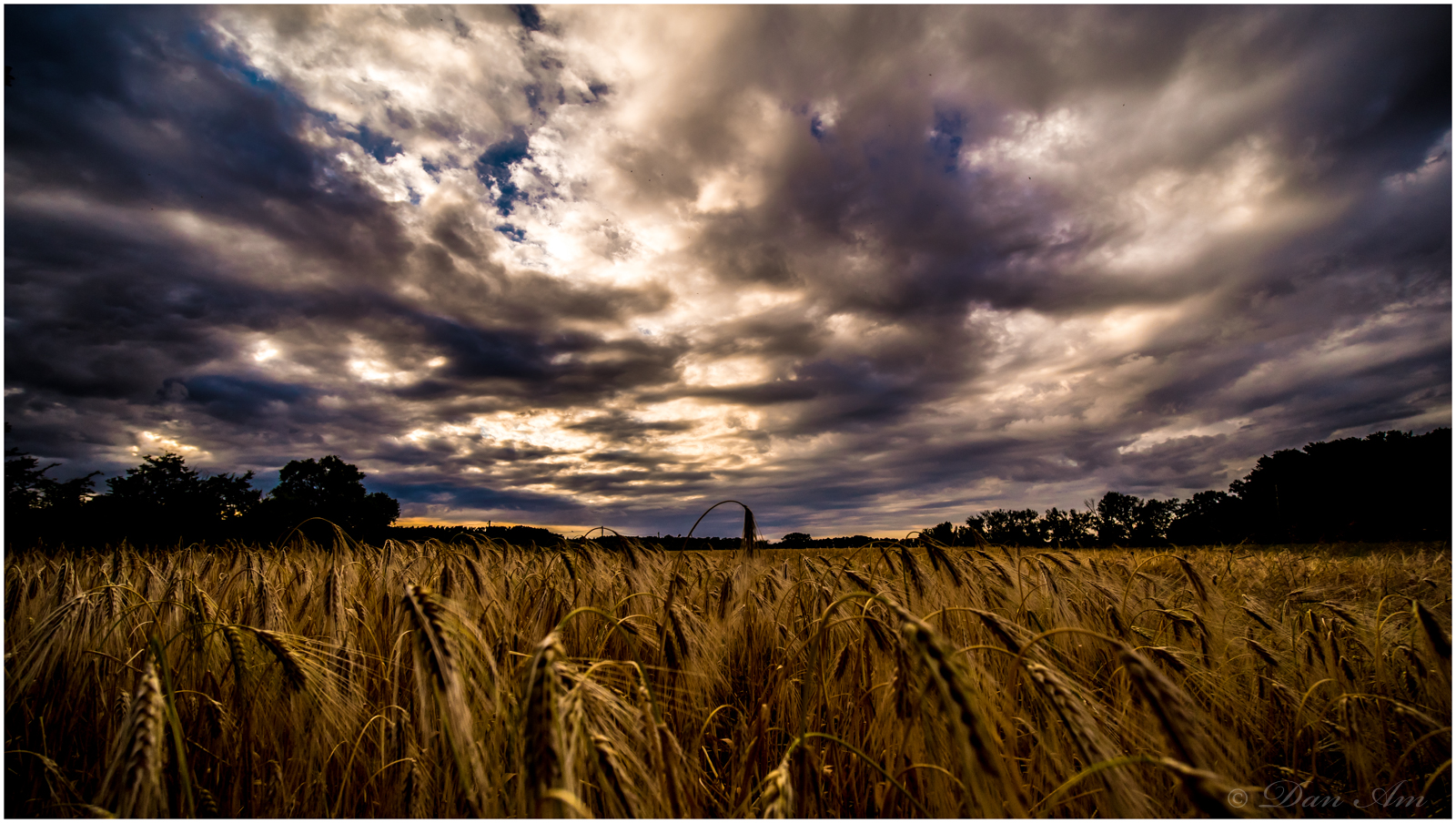 Ein Bett im Kornfeld...