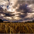 Ein Bett im Kornfeld...