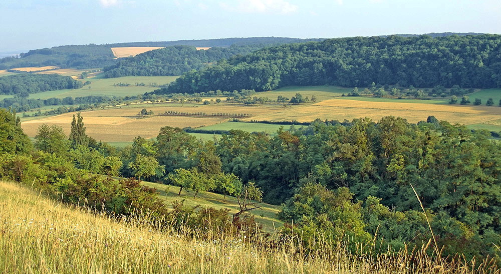 Ein Bett im Kornfeld.....