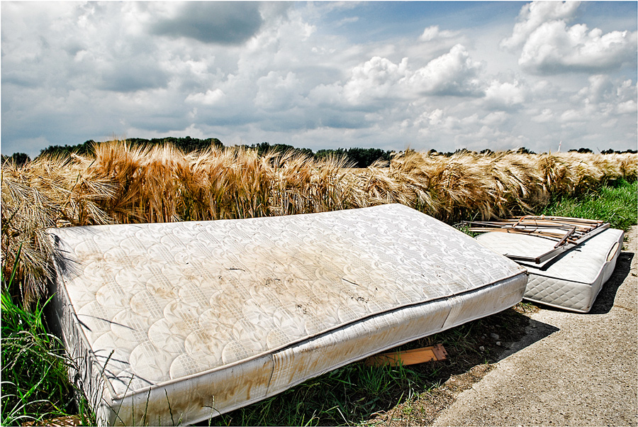 Ein Bett im Kornfeld