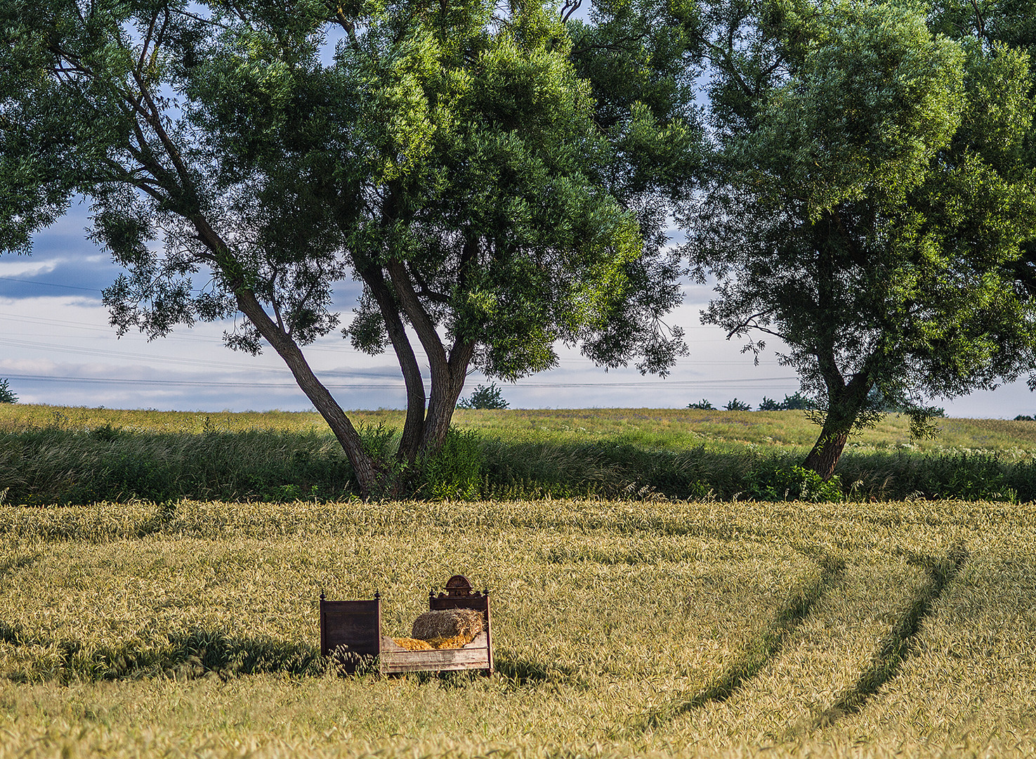 Ein Bett im Kornfeld