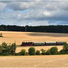 Ein Bett im Kornfeld