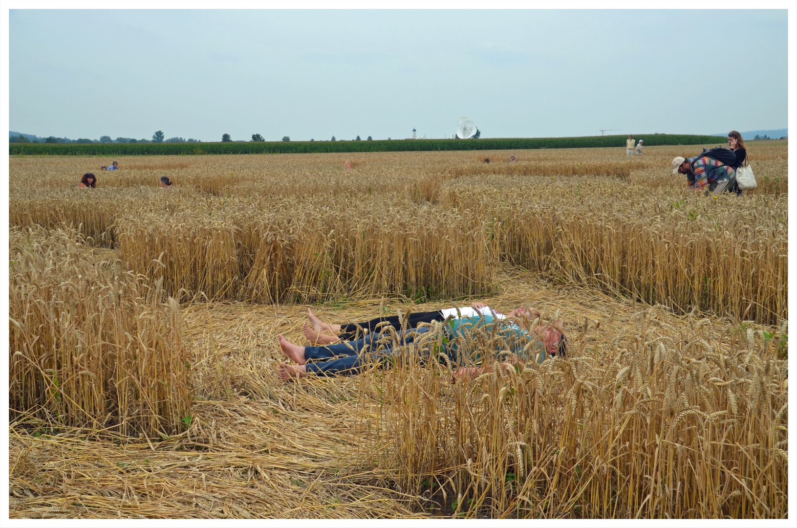 ein Bett im Kornfeld