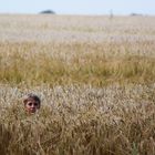 Ein Bett im Kornfeld...