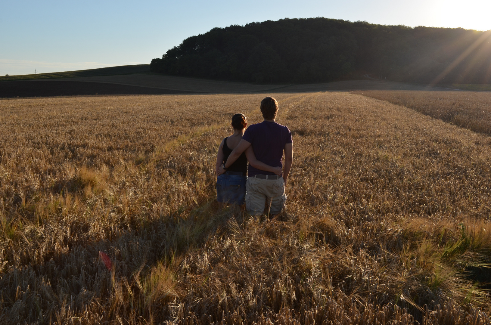 Ein Bett im Kornfeld