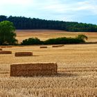 Ein Bett im Kornfeld ...