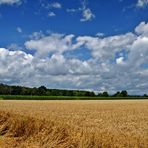 Ein Bett im Kornfeld  ...