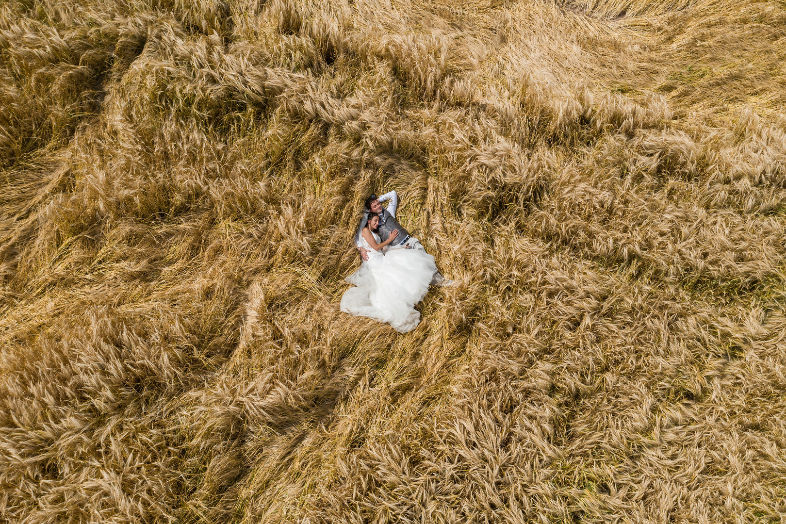 Ein Bett im Kornfeld