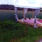 ein Bett im Kornfeld, das ist immer frei .................