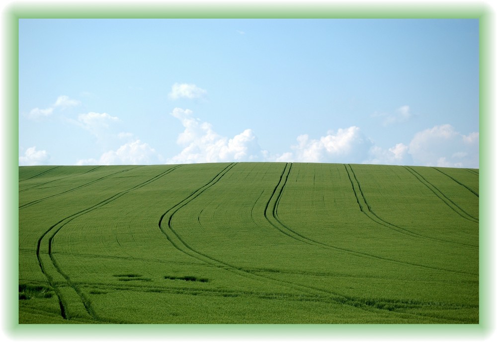 Ein Bett im Kornfeld