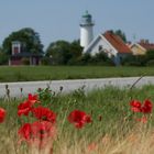 ein Bett im Kornfeld