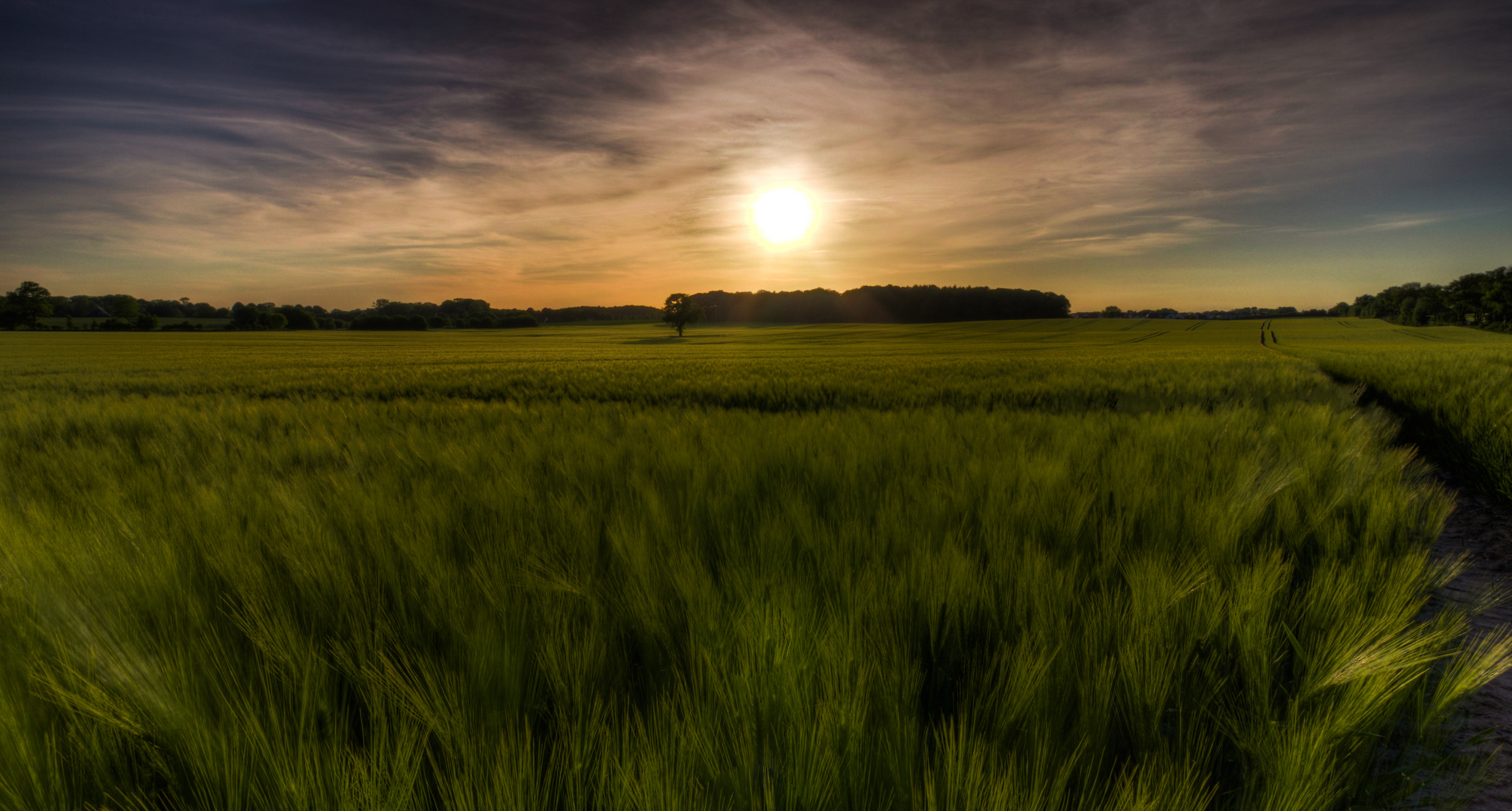 Ein Bett im Kornfeld gesucht!!!