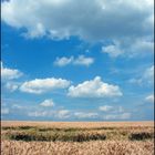 ... Ein Bett im Kornfeld, oder wer hat eine andere Idee?...