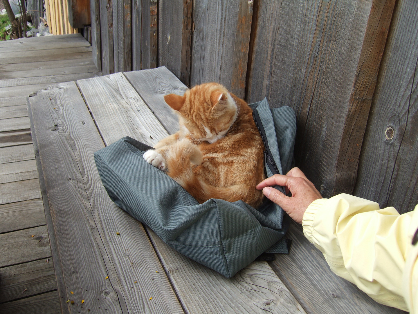 Ein Bett im Rucksack