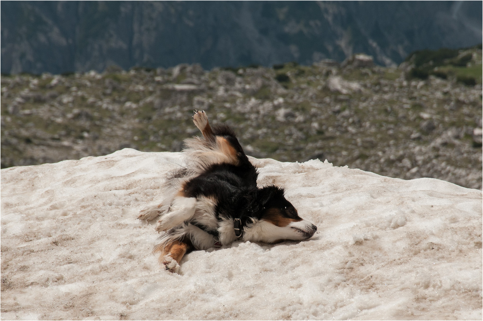 Ein Bett im Schneefeld ...