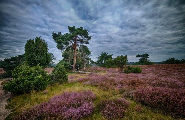 Ein bewölkter Morgen