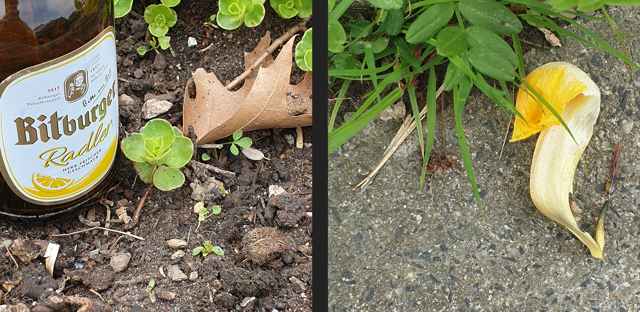 Ein Bier im Garten 