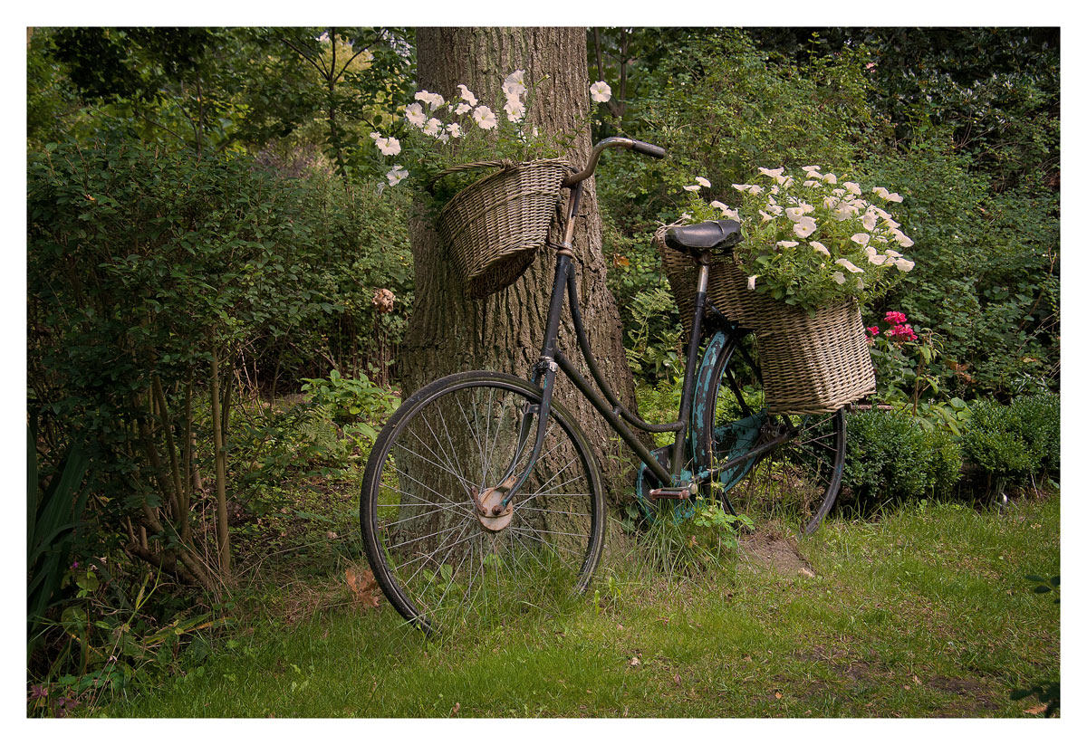 ein bike für dich