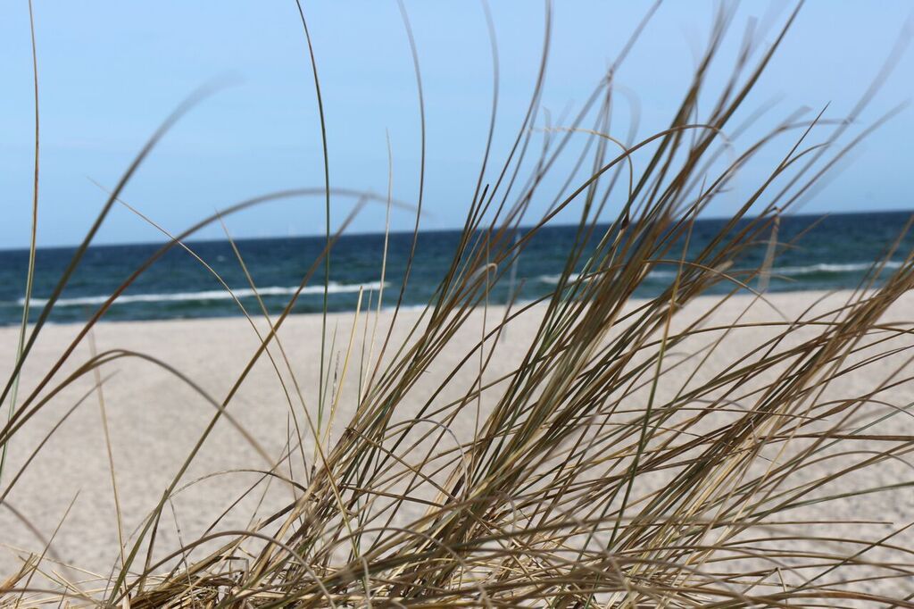 Ein Bild am Strand