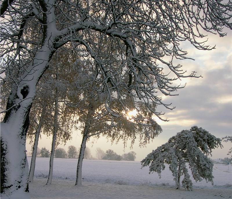 Ein Bild aus längstvergangenen Tagen; Als Winter noch weiß waren.