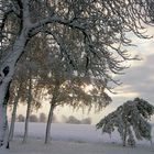 Ein Bild aus längstvergangenen Tagen; Als Winter noch weiß waren.