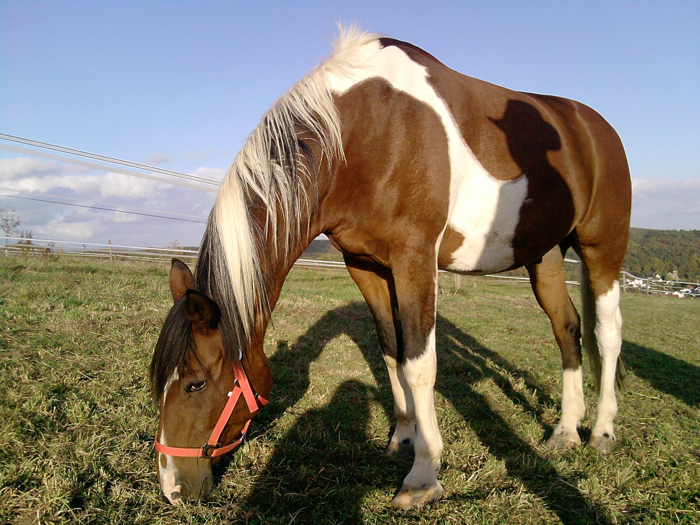 Ein Bild aus Licht und Schatten