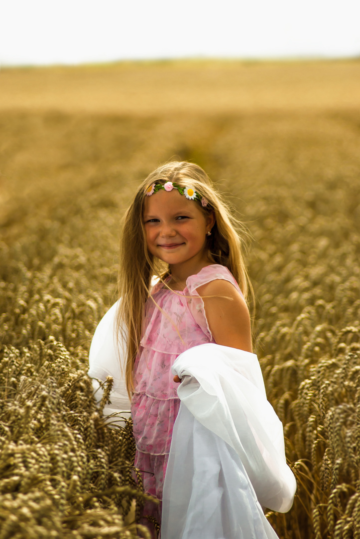 ein Bild im Feld