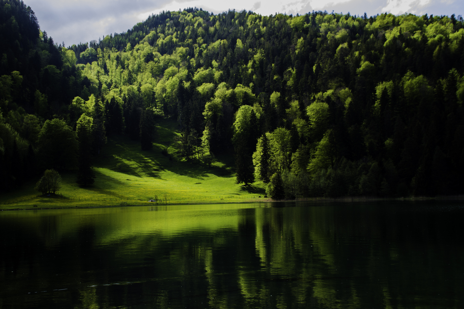 Ein Bild vom Alatsee bei Füssen a. Lech