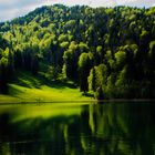 Ein Bild vom Alatsee bei Füssen a. Lech