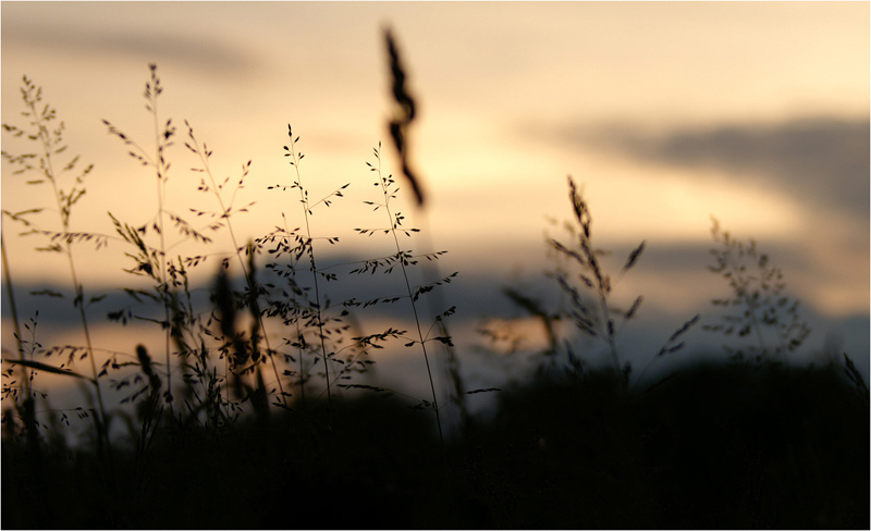 ein bild vom letzten sommer..