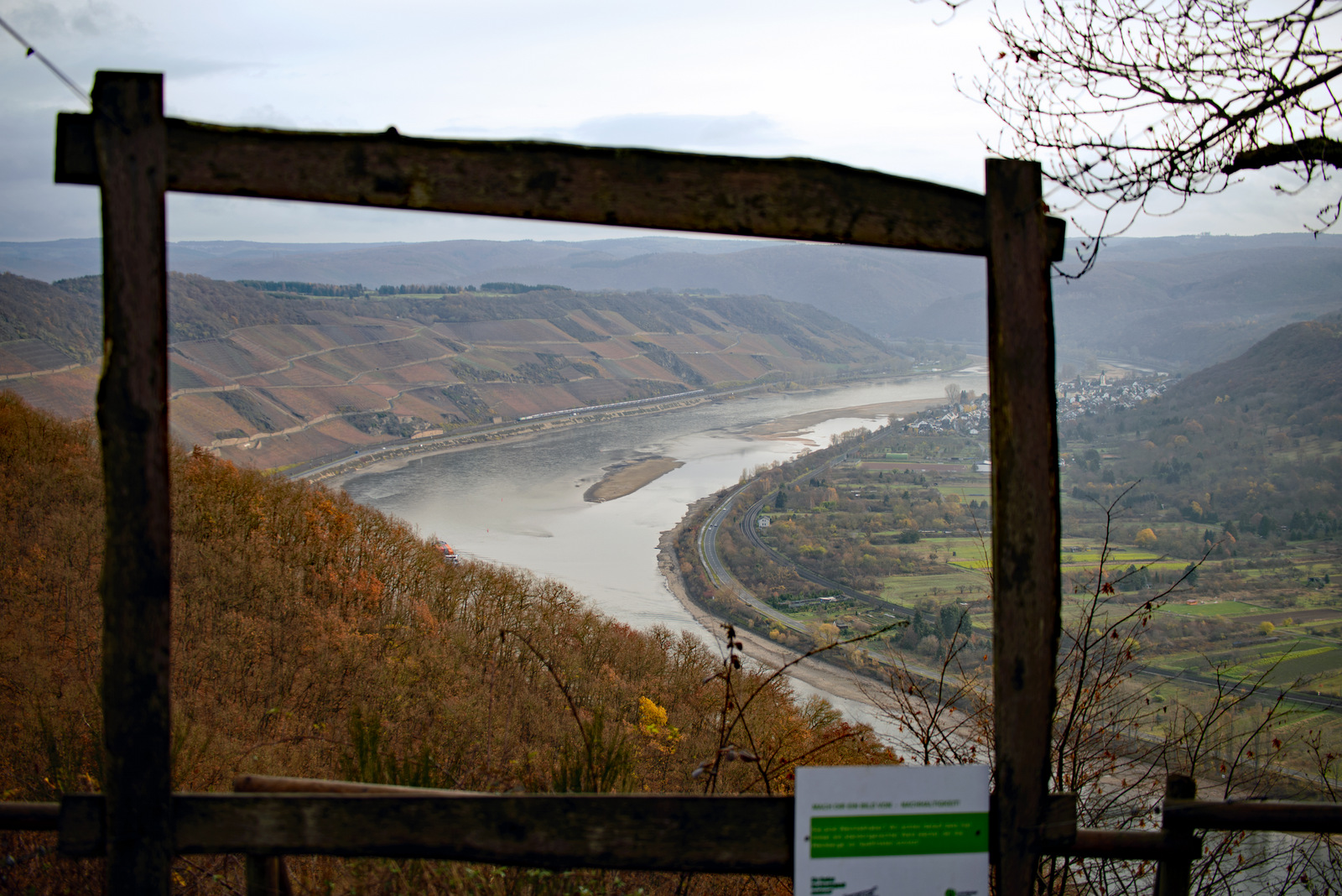 Ein Bild vom Rhein.